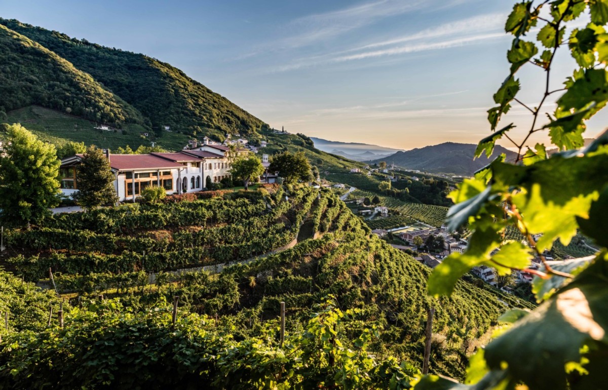 Le Colline Del Prosecco Sono Patrimonio Mondiale Dell Umanit 