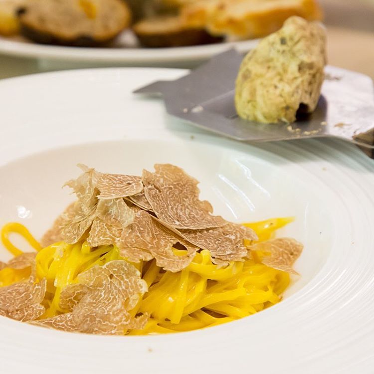 barolo wine tours and truffle hunting experience