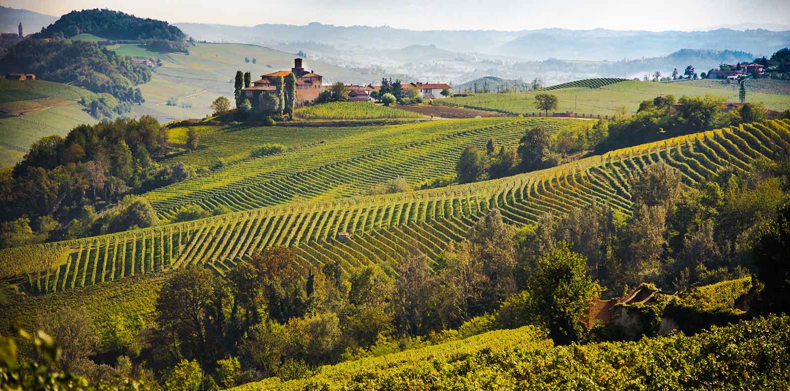 Barbaresco Barolo Wine Tour The Grand Wine Tour Barbaresco Barolo Wine Tour The Grand Wine Tour
