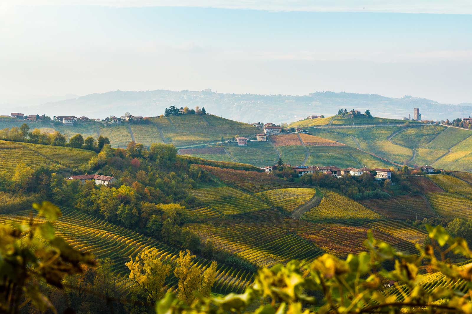 Barbaresco Wine Tour The Grand Wine Tour Barbaresco Wine Tour The Grand Wine Tour