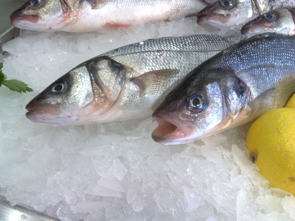 7 fish the locals eat in Venice