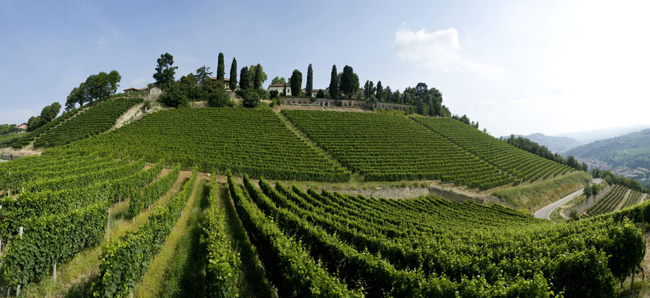 Ceretto Estate