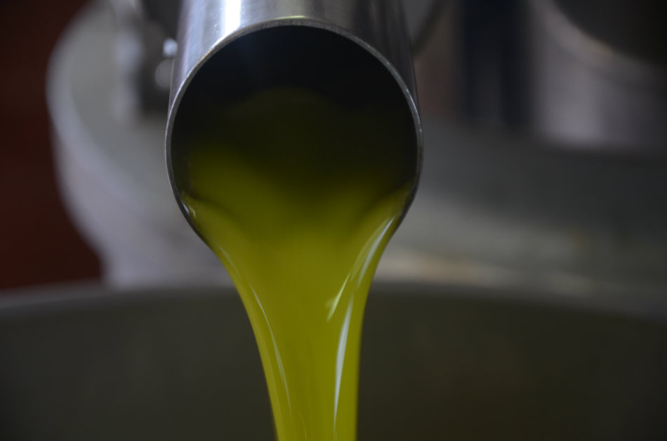 fresh-olive-oil