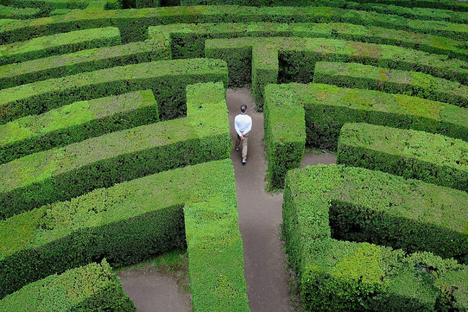 Labyrinth of Villa Pisani