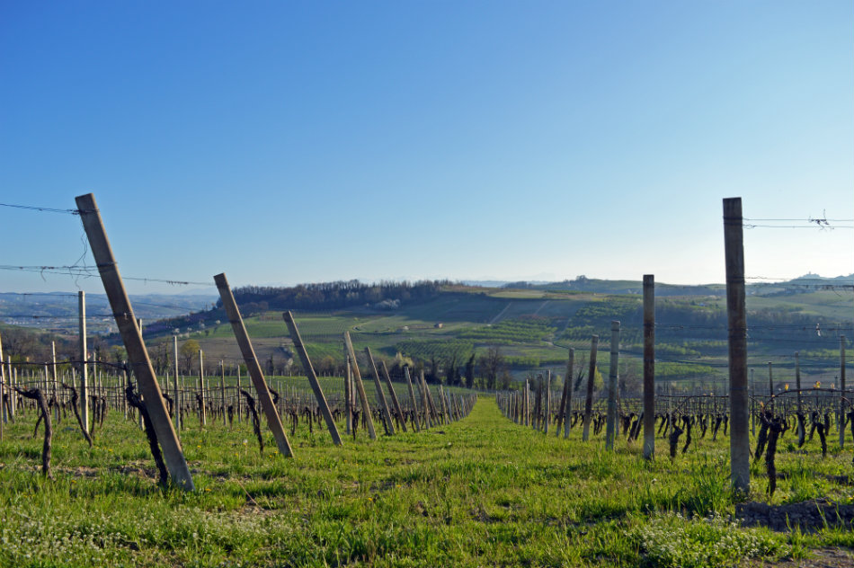 Hiking vineyard trails in the spring - © Tenuta Carretta