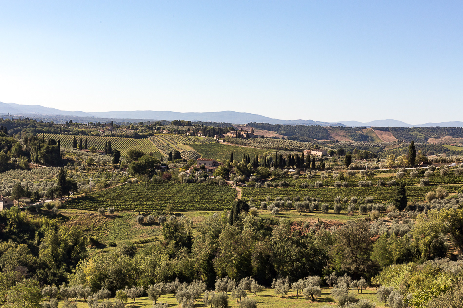 Fields of San Gimignano - ©? Giulia Scarpaleggia