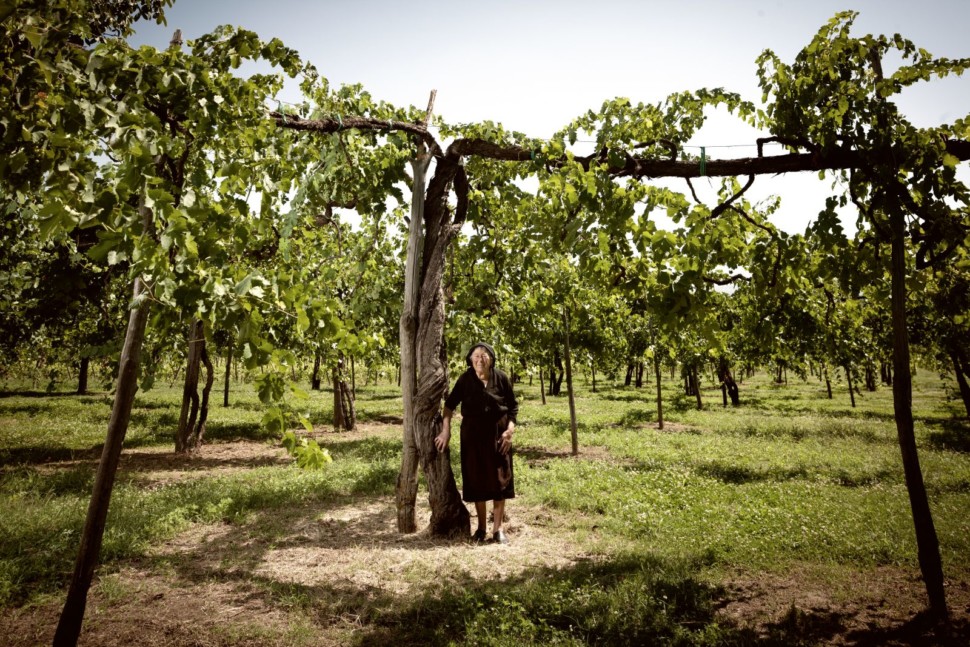 An elderly woman, dressed in all black, stands in front of an ancient vine