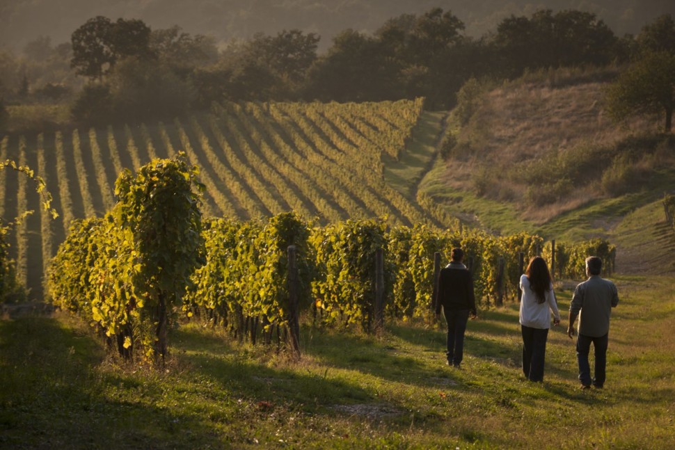 A group of three people on a guided tour of the vineyards at Feudi di San Gregorio