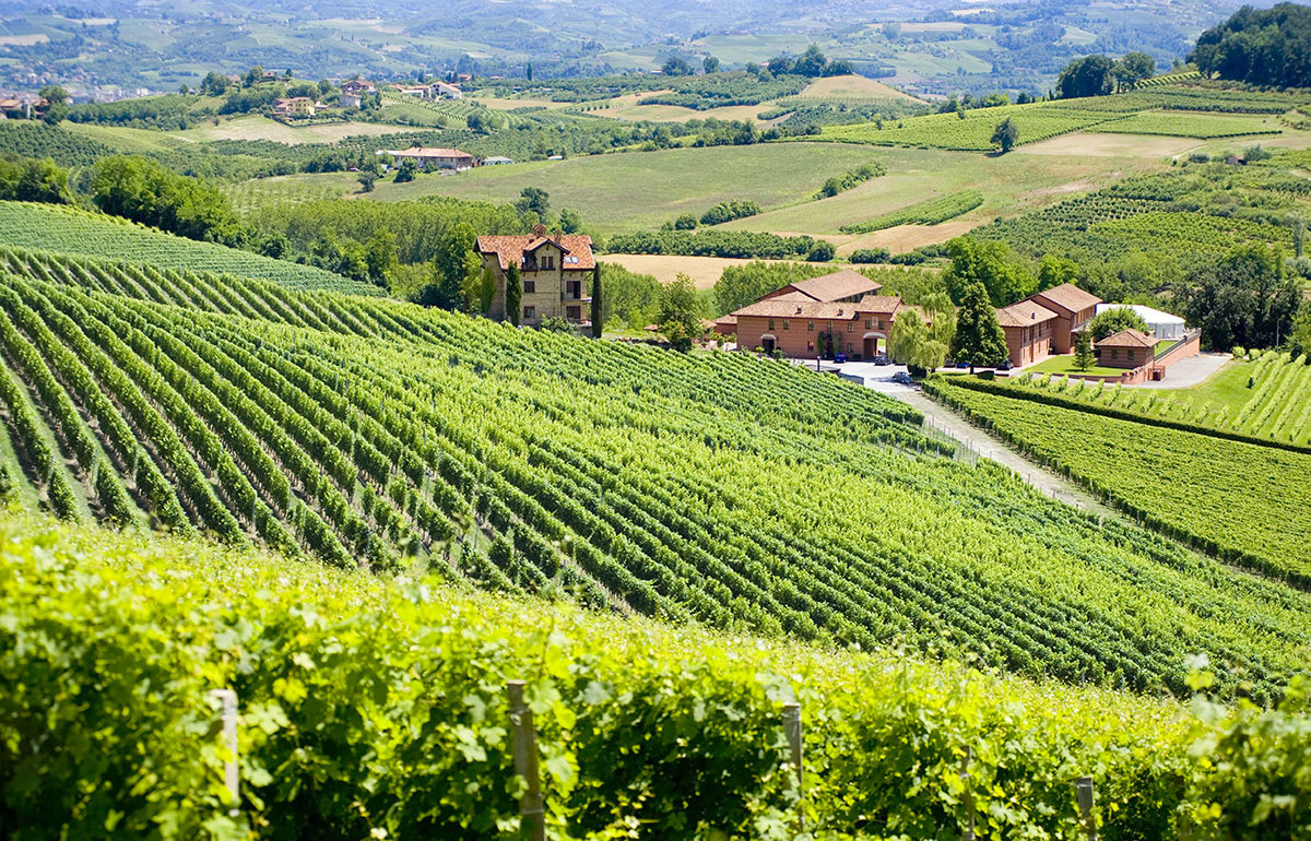 Tenuta Carretta - The Grand Wine Tour
