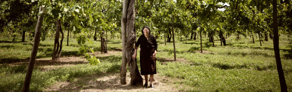 granny on ancient vineyards